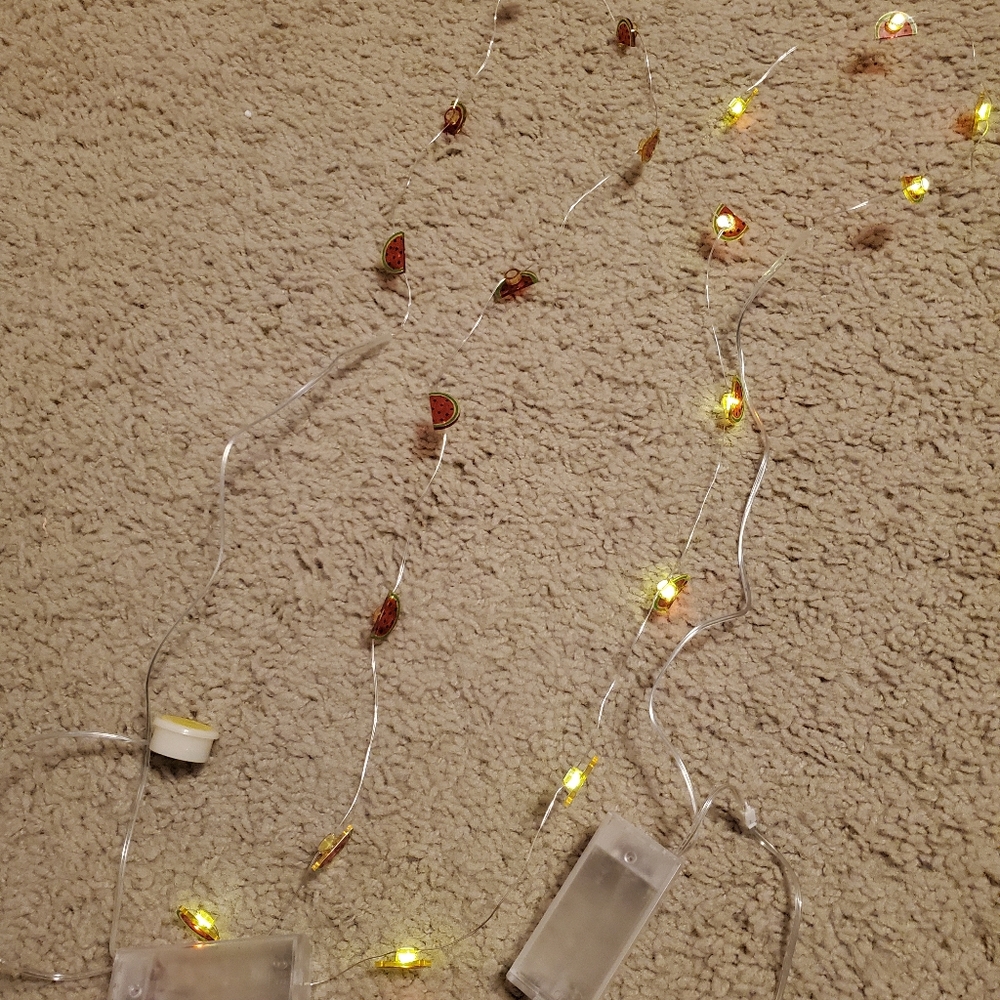 Watermelon String Lights (2)
